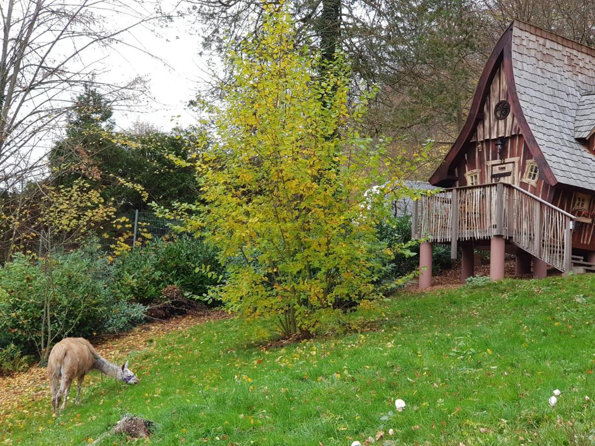 Villa Hexenhaeuschen Am Waldrand Annweiler am Trifels Esterno foto