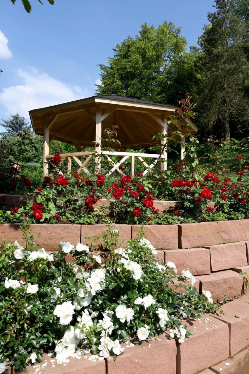 Villa Hexenhaeuschen Am Waldrand Annweiler am Trifels Esterno foto